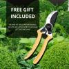 FREE LEYAT PREMIUM